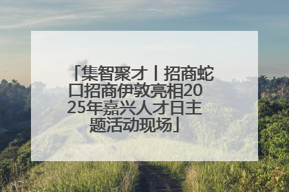 集智聚才丨招商蛇口招商伊敦亮相2025年嘉兴人才日主题活动现场