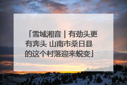 雪域湘音｜有劲头更有奔头 山南市桑日县的这个村落迎来蜕变