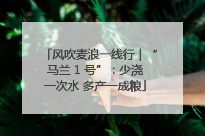 风吹麦浪一线行｜“马兰 1 号”：少浇一次水 多产一成粮