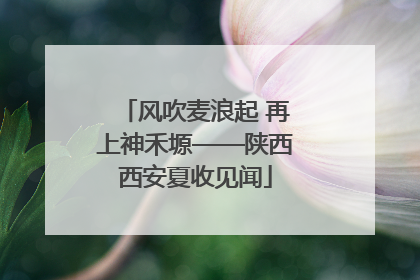 风吹麦浪起 再上神禾塬——陕西西安夏收见闻