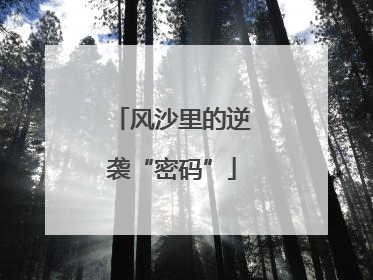 风沙里的逆袭“密码”