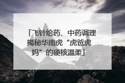 飞针给药、中药调理 揭秘华南虎“虎爸虎妈”的硬核温柔