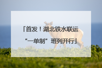 首发！湖北铁水联运“一单制”班列开行