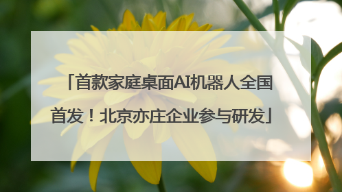 首款家庭桌面AI机器人全国首发！北京亦庄企业参与研发