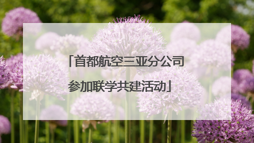 首都航空三亚分公司参加联学共建活动