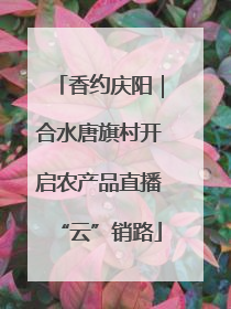 香约庆阳｜合水唐旗村开启农产品直播“云”销路