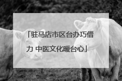 驻马店市区台办巧借力 中医文化暖台心