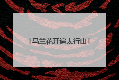 马兰花开遍太行山