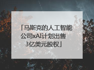 马斯克的人工智能公司xAI计划出售3亿美元股权