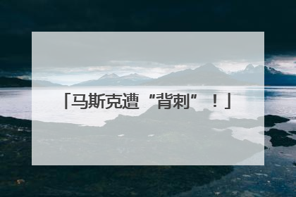 马斯克遭“背刺”！