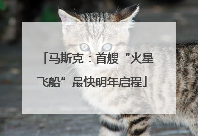 马斯克：首艘“火星飞船”最快明年启程