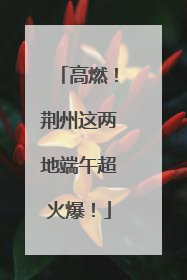 高燃！荆州这两地端午超火爆！