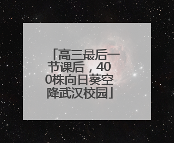 高三最后一节课后，400株向日葵空降武汉校园