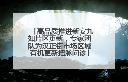 高品质推进新安九如片区更新，专家团队为汉正街市场区域有机更新把脉问诊