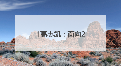 高志凯：面向22世纪，打造深圳世界级城市封面