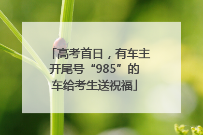 高考首日，有车主开尾号“985”的车给考生送祝福