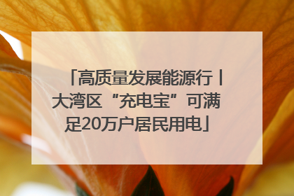 高质量发展能源行丨大湾区“充电宝”可满足20万户居民用电