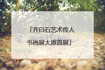 齐白石艺术传人书画展太原首展