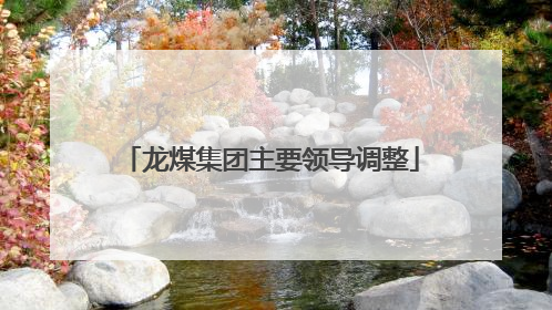 龙煤集团主要领导调整