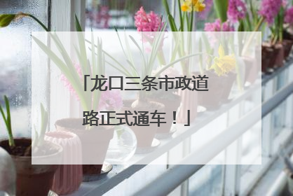 龙口三条市政道路正式通车！