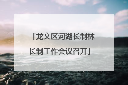 龙文区河湖长制林长制工作会议召开