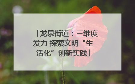 龙泉街道：三维度发力 探索文明“生活化”创新实践