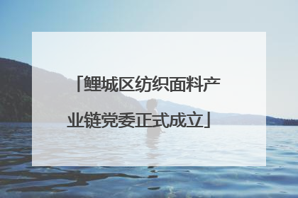 鲤城区纺织面料产业链党委正式成立
