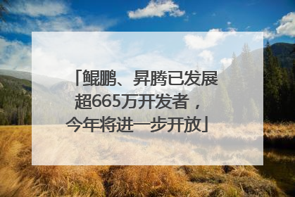 鲲鹏、昇腾已发展超665万开发者，今年将进一步开放