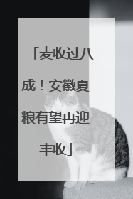 麦收过八成！安徽夏粮有望再迎丰收
