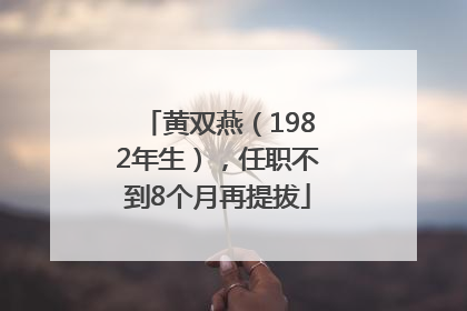 黄双燕（1982年生），任职不到8个月再提拔