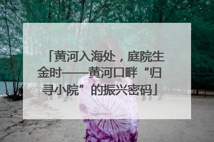 黄河入海处，庭院生金时——黄河口畔“归寻小院”的振兴密码