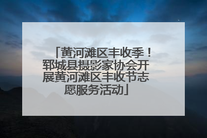 黄河滩区丰收季！郓城县摄影家协会开展黄河滩区丰收节志愿服务活动