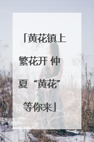 黄花镇上繁花开 仲夏“黄花”等你来