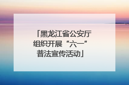 黑龙江省公安厅组织开展“六一”普法宣传活动