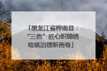 黑龙江省桦南县：“三色”匠心织锦绣 绘就治理新画卷