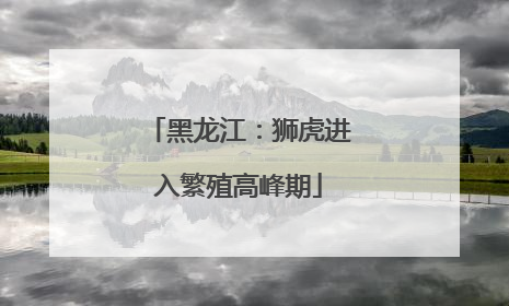 黑龙江：狮虎进入繁殖高峰期