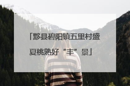 黟县碧阳镇五里村盛夏桃熟好“丰”景