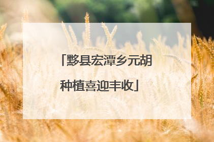 黟县宏潭乡元胡种植喜迎丰收