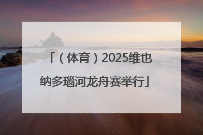 （体育）2025维也纳多瑙河龙舟赛举行