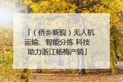 （侨乡新貌）无人机运输、智能分拣 科技助力浙江杨梅产销