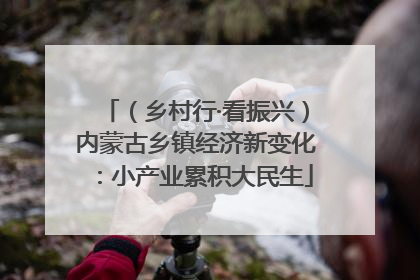 （乡村行·看振兴）内蒙古乡镇经济新变化：小产业累积大民生