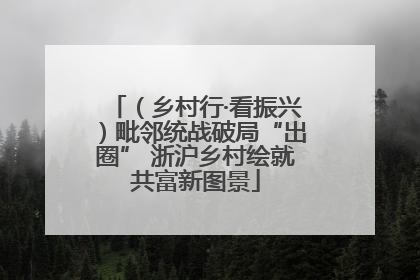 （乡村行·看振兴）毗邻统战破局“出圈” 浙沪乡村绘就共富新图景