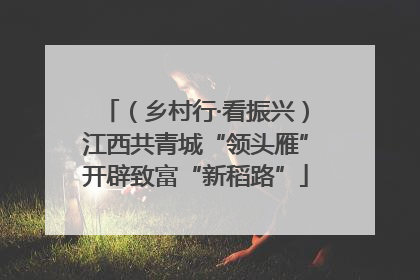 （乡村行·看振兴）江西共青城“领头雁”开辟致富“新稻路”