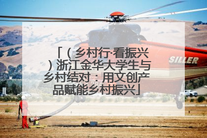 （乡村行·看振兴）浙江金华大学生与乡村结对：用文创产品赋能乡村振兴