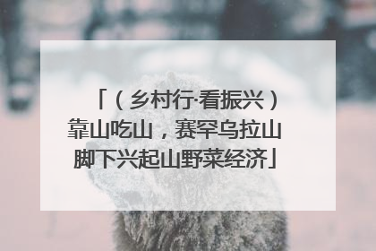 （乡村行·看振兴）靠山吃山，赛罕乌拉山脚下兴起山野菜经济