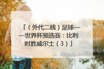 （外代二线）足球——世界杯预选赛：比利时胜威尔士（3）