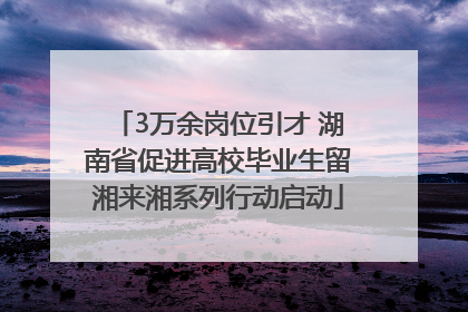 3万余岗位引才 湖南省促进高校毕业生留湘来湘系列行动启动