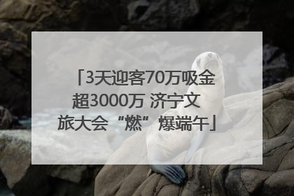 3天迎客70万吸金超3000万 济宁文旅大会“燃”爆端午