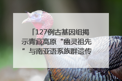 127例古基因组揭示青藏高原“幽灵祖先”与南亚语系族群遗传起源｜封面科考队