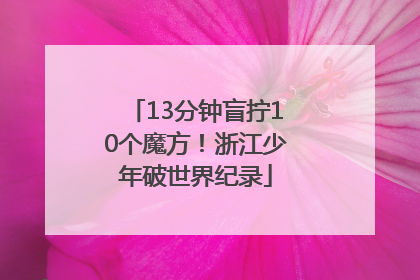 13分钟盲拧10个魔方！浙江少年破世界纪录